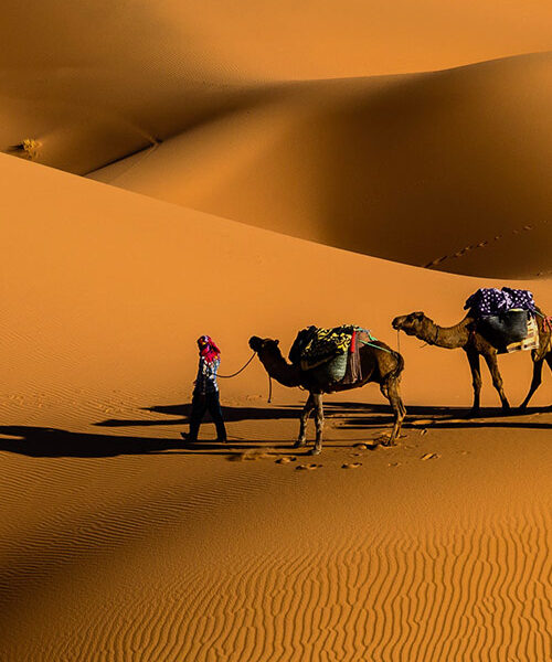 تور لحظه اخری ارزان طوفان پرشین